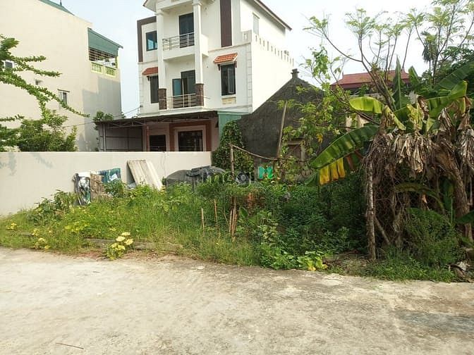 Đất mặt đê Vĩnh Ngọc, Lô góc, Oto tránh. DT: 300m2, MT 15m. Giá: 100tr