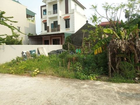 Đất mặt đê Vĩnh Ngọc, Lô góc, Oto tránh. DT: 300m2, MT 15m. Giá: 100tr