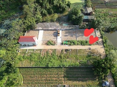 Chính thức mở bán 7 lô F0 tai xã sen phương huyện phúc thọ hà nội