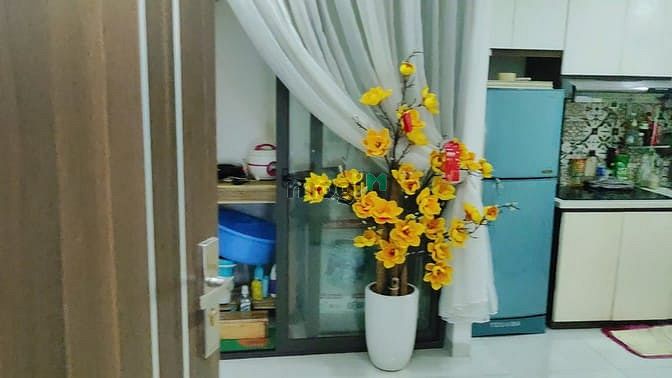 Cho Thuê căn hộ tầng 3 chung cư mini gõ 22 Lương Khánh Thiện,Tương Mai