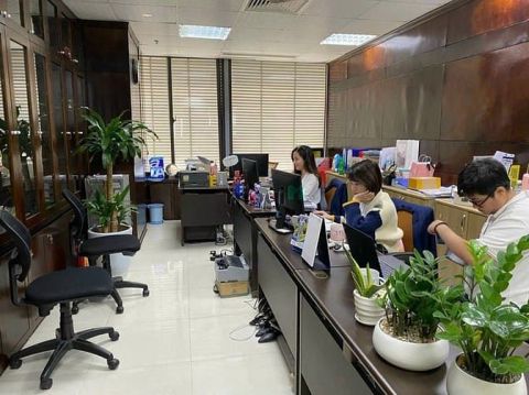 Tòa nhà Diamond Flower ngã tư lê văn lương - hoàng đạo thúy
