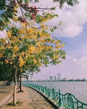 ĐẤT VÀNG TÔ NGỌC VÂN – TÂY HỒ | 140M² – 45 TỶ