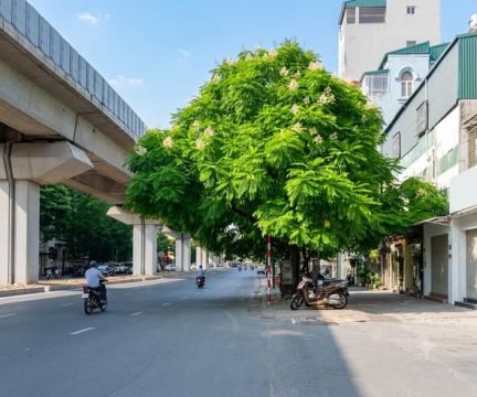 9.6 TỶ - BÁN NHÀ HÀO NAM - 35M2*5T - TT ĐỐNG ĐA - 50M RA PHỐ - NHÀ DÂN XÂY.+ Diện tích: 35m2.+ Mặ...