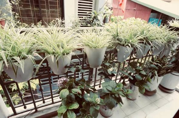 Cho thuê nhà 4 tầng ngõ 118 Nguyễn An Ninh, Hoàng Mai, Full đồ
