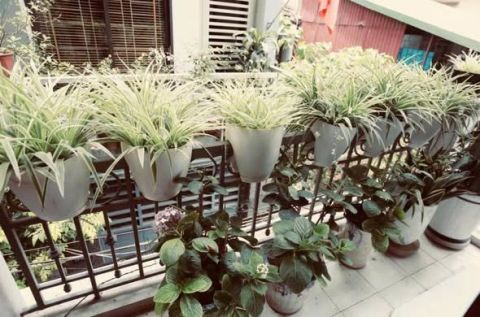 Cho thuê nhà 4 tầng ngõ 118 Nguyễn An Ninh, Hoàng Mai, Full đồ