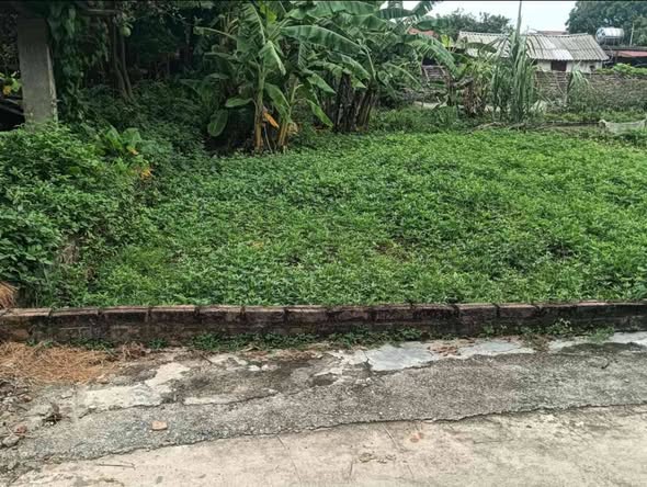 60M² YÊN TÀNG – ĐA PHÚC | LOANH QUANH 1 TỶ