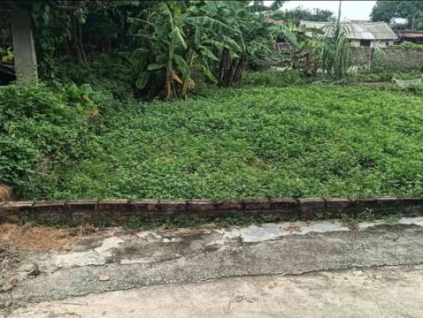 60M² YÊN TÀNG – ĐA PHÚC | LOANH QUANH 1 TỶ
