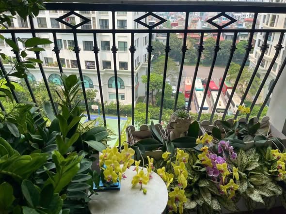 ROYAL CITY NGUYỄN TRÃI – CHUNG CƯ THƯỢNG LƯU, 3 PHÒNG NGỦ, TẦNG TRUNG, 140TR/M2, SĐCC
