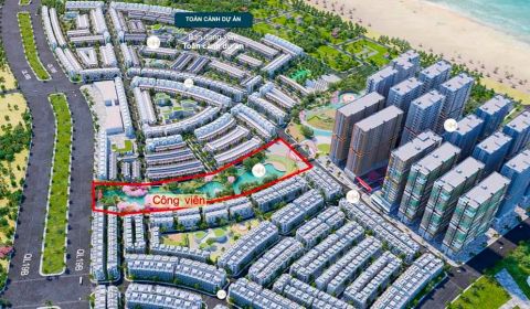 NHƠN HỘI NEWCITY