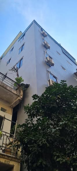 TRƯỜNG CHINH, ĐỐNG ĐA