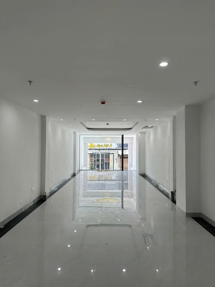 Nhờ ACE MG đẩy giúp