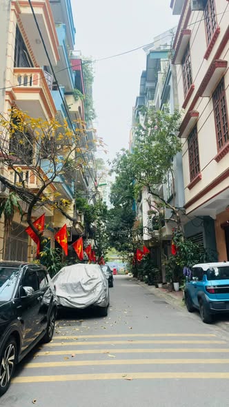 Nhỉnh 20 tỷ , bán nhà phân lô , ô tô tránh , vỉa hè , phố TRƯƠNG ĐỊNH - ĐẠI LA , HAI BÀ TRƯNG