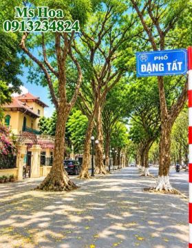 CHÍNH CHỦ CẦN BÁN GẤP NHÀ ĐẶNG TẤT PHỐ VIP BA ĐÌNH KD NHỎ Ô TÔ ĐỖ CỔNG 75M X 4 TẦNG MT4,5M 27,5 TỶ .