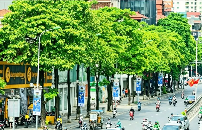 [ĐƯỜNG NGUYỄN  CHÍ THANH - ĐỐNG ĐA]
